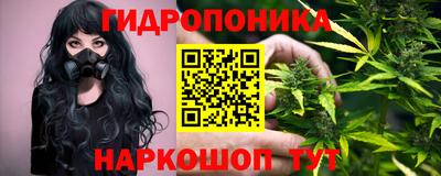 синтетический гашиш Кингисепп